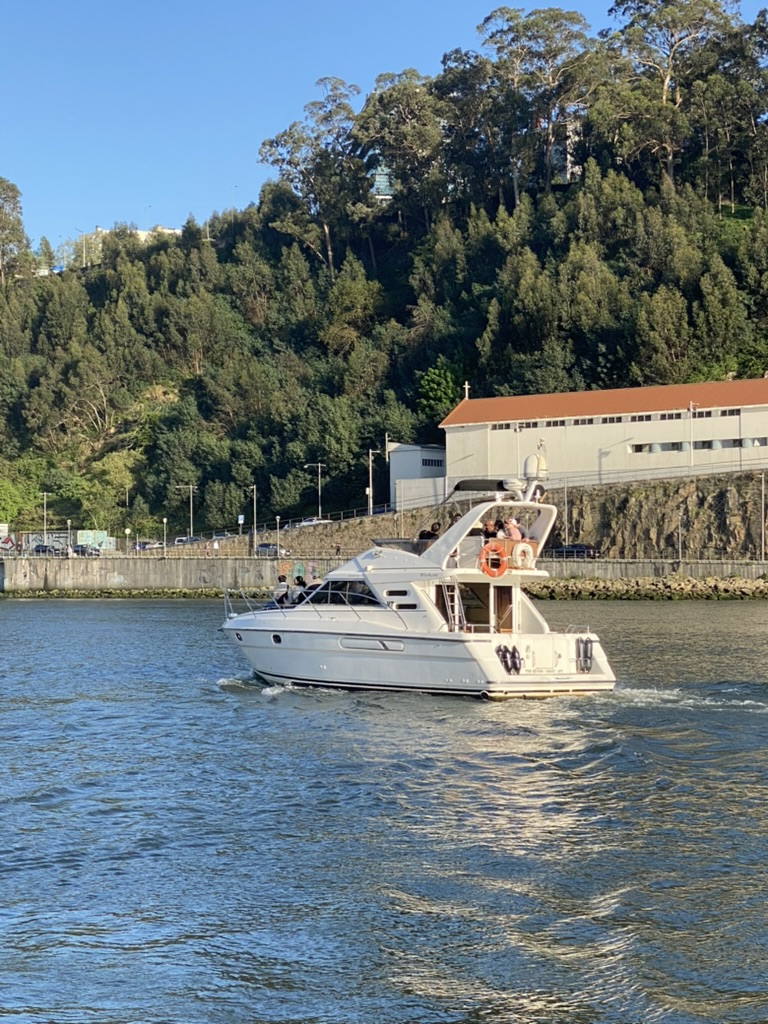 Sailing under the Dom Luís I Bridge on the Douro