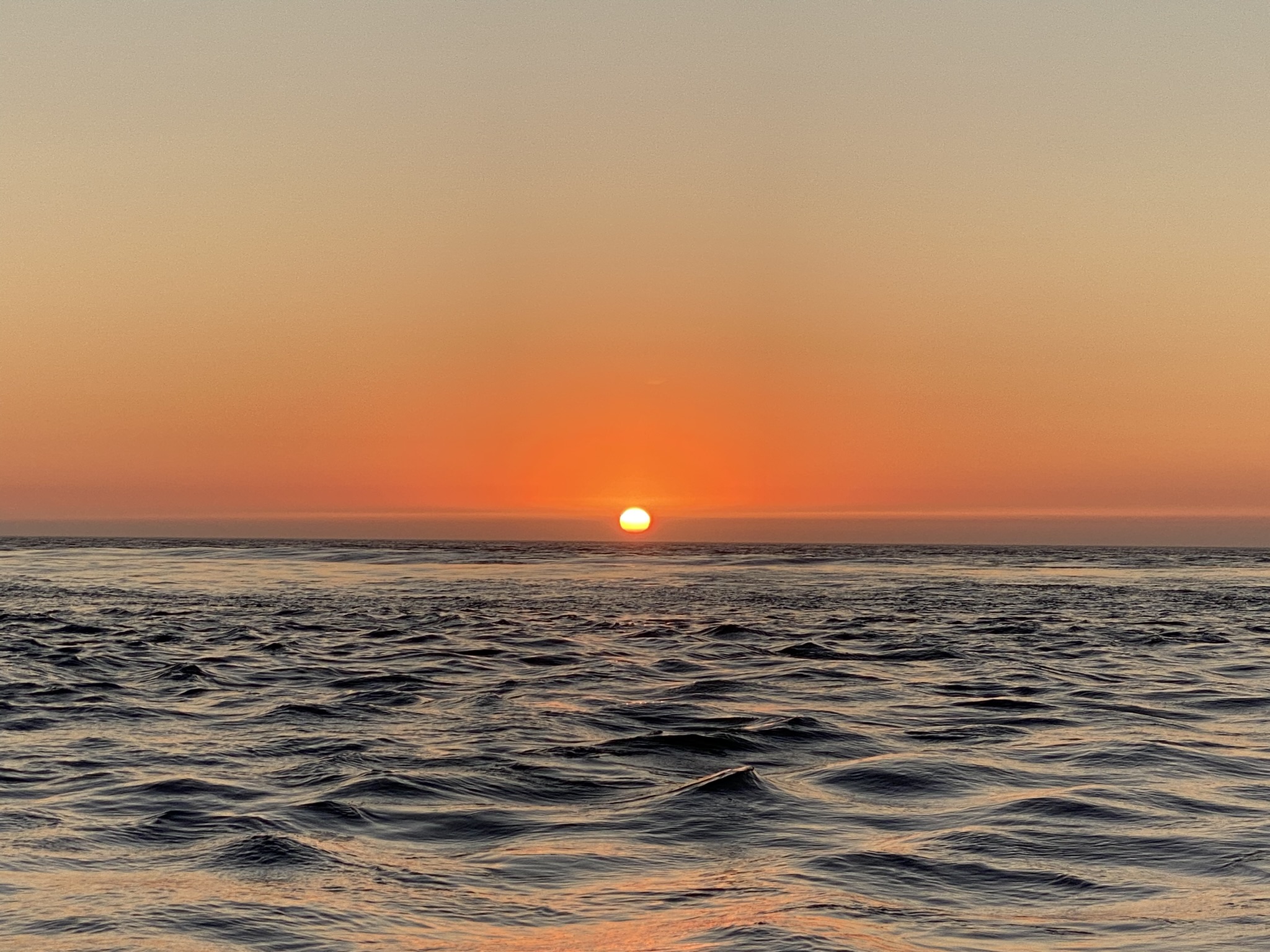Sailboat at sunset on the Douro