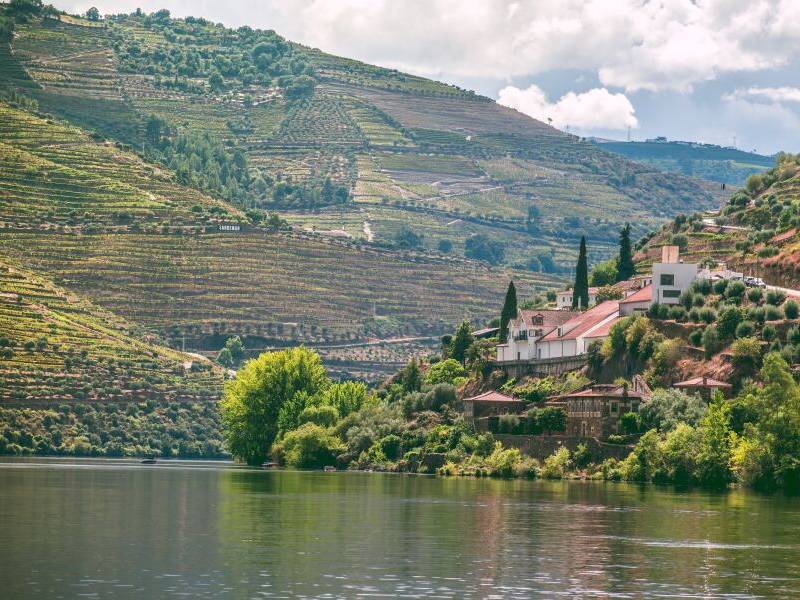 Douro Discovery